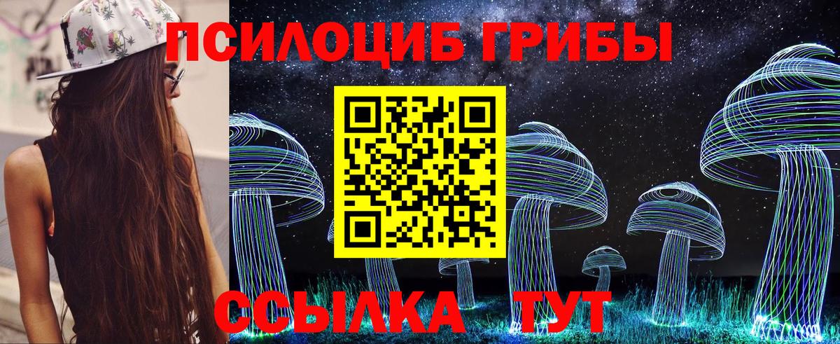 купить наркоту  Вход с VPN  Алексеевка  Галлюциногенные грибы Psilocybine cubensis 